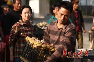 电视剧翠兰的爱情全集在线观看,穿越时空的浪漫传奇 第3张 电视剧翠兰的爱情全集在线观看,穿越时空的浪漫传奇 第3张