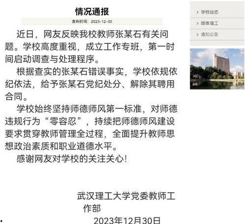 大瓜爆料教授视频,揭秘大瓜背后的真相与争议